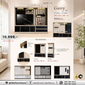 ชุดโฮมเธียร์เตอร์ GUSSY PT1601 + PT0801 รหัส FDN-TV10