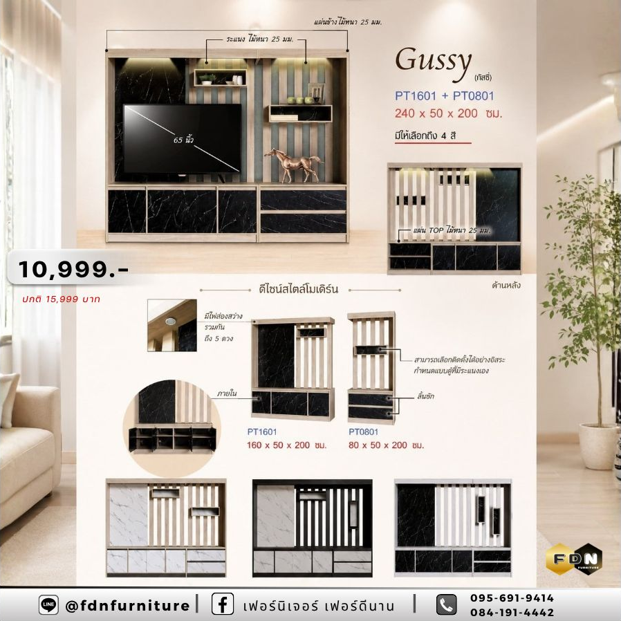 ชุดโฮมเธียร์เตอร์ GUSSY PT1601 + PT0801 รหัส FDN-TV10