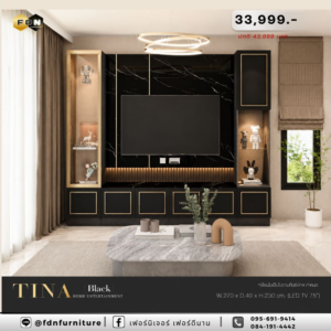 ชุดโฮมเธียร์เตอร์ TINA BLACK รหัส FDN-TV44