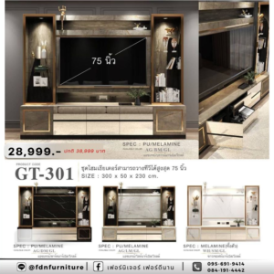 ชุดโฮมเธียร์เตอร์ GT-301 รหัส FDN-TV60